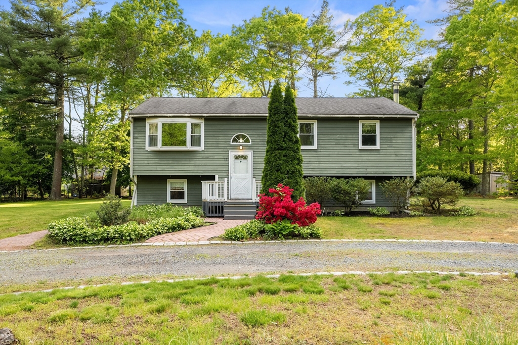16 Forest St.