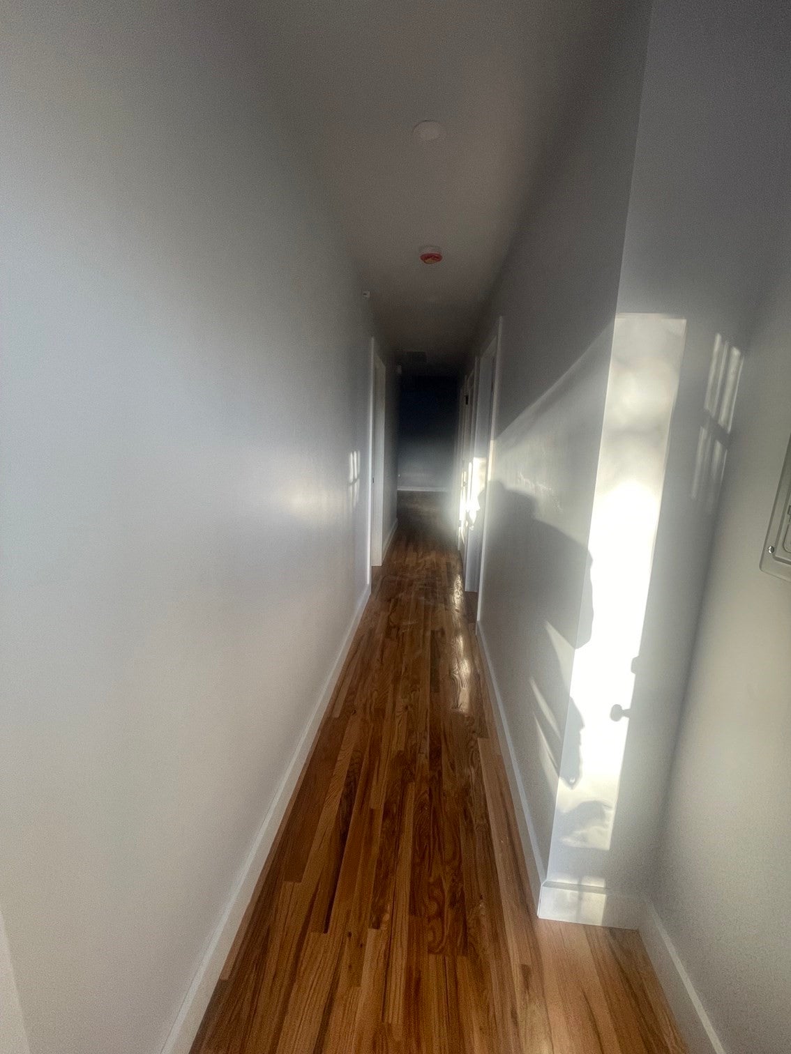 251-253 Wood Ave #1, Boston, MA, 251-253 Wood Ave #1, Boston, MA Photo #8