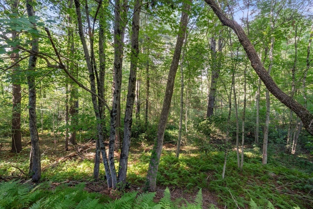 133 Highland Street, Easton, MA Photo #33