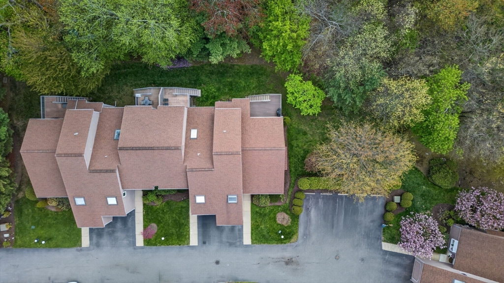8 Heathwood Ln #8, Brookline, MA Photo #38
