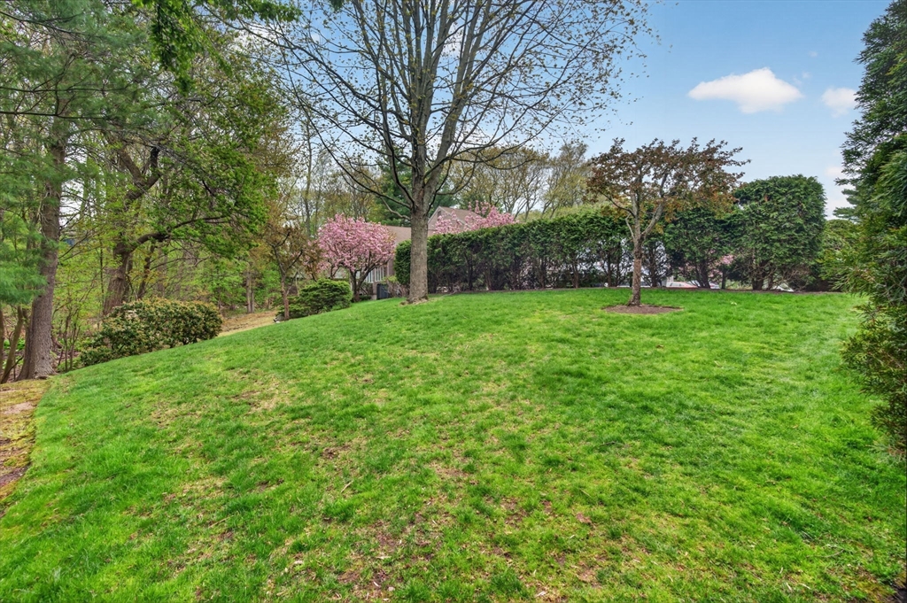 8 Heathwood Ln #8, Brookline, MA Photo #33