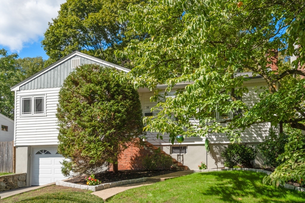 38 Hazelmere Rd