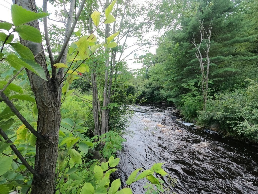 Lot 63 Mill St