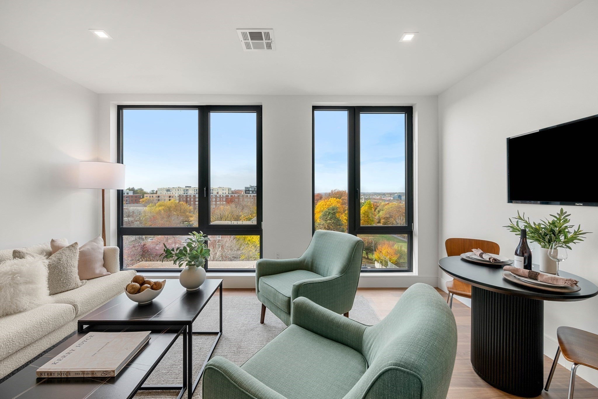 1515 Commonwealth Ave #705, Boston, MA, 1515 Commonwealth Ave #705, Boston, MA Photo #11