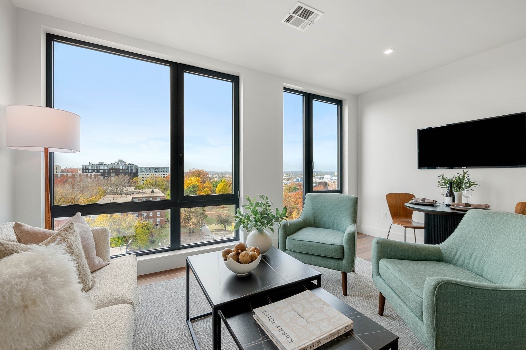 1515 Commonwealth Ave #705, Boston, MA, 1515 Commonwealth Ave #705, Boston, MA Photo #9