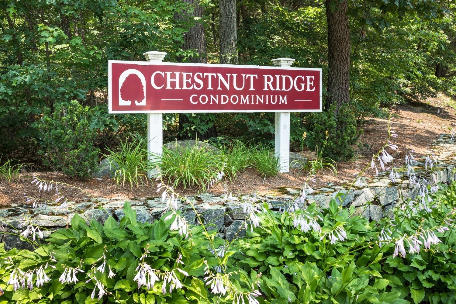 10 Magnolia Dr #10, Franklin, MA Photo #40