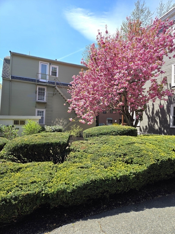 9 Kosciusko Street 3