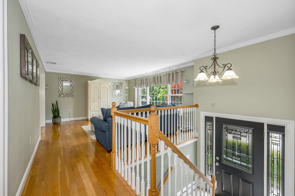 10 Shea Cir