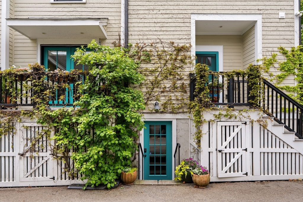 209 Chestnut Ave #2, Boston, MA Photo #40