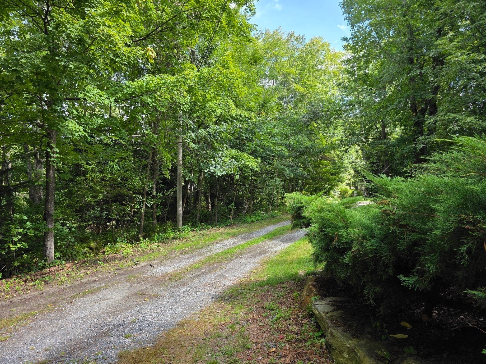 66 Summer St, Westborough, MA Photo #39
