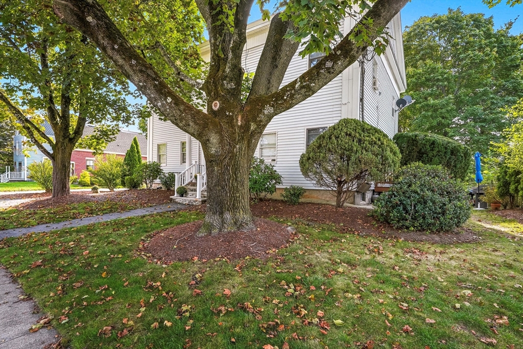 14 Grove St 3
