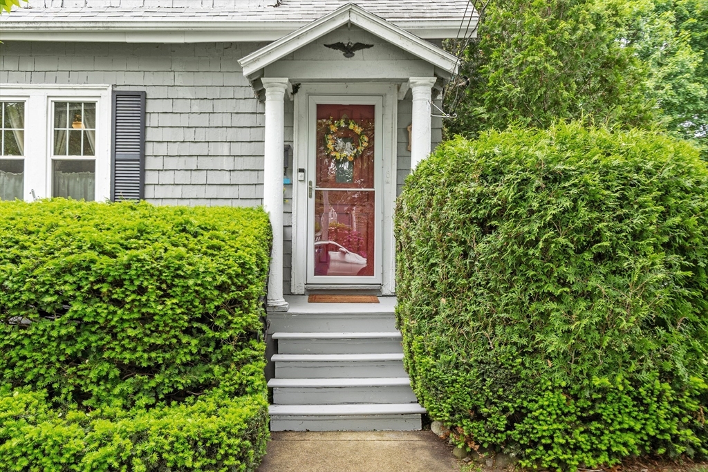 8 Newcomb Ave