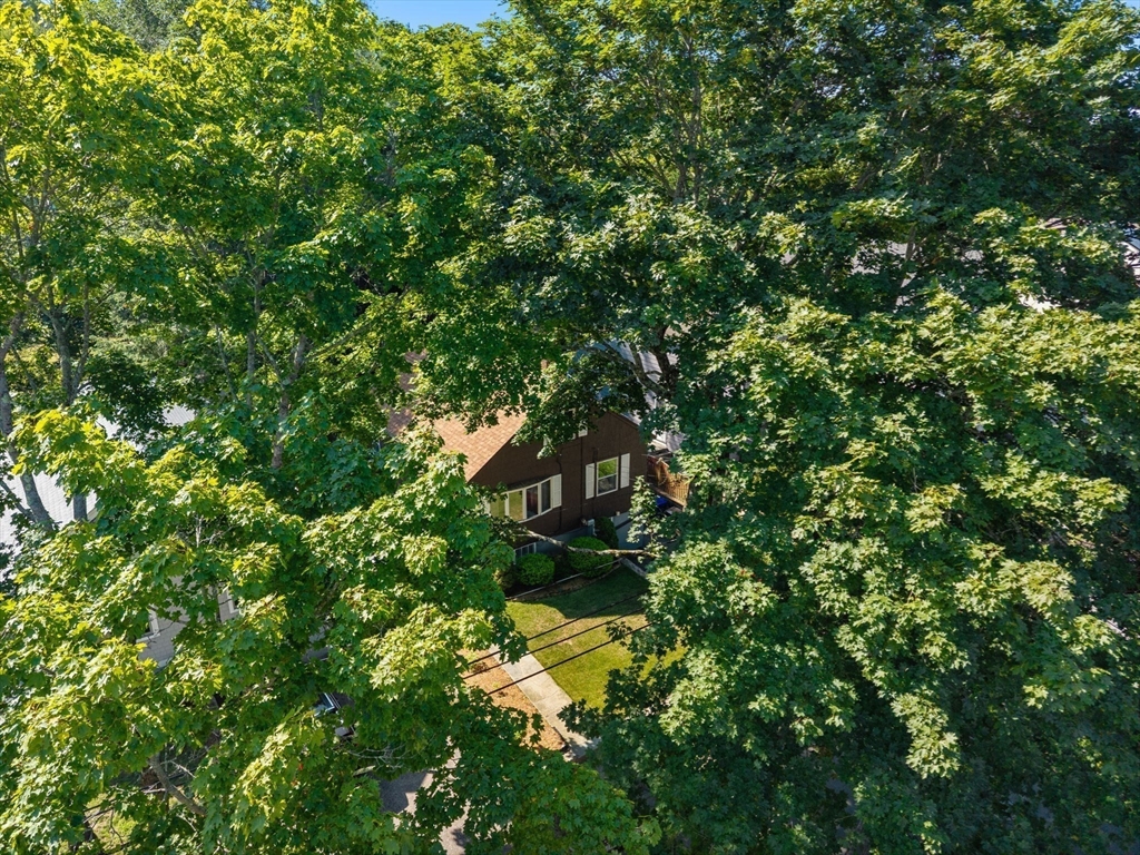 151 Wright Street, Arlington, MA, 151 Wright Street, Arlington, MA Photo #27