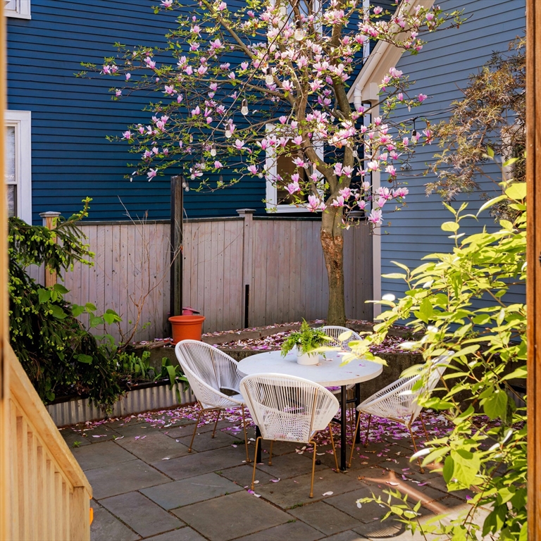 24 Rockingham Street #24, Cambridge, MA, 24 Rockingham Street #24, Cambridge, MA Photo #26