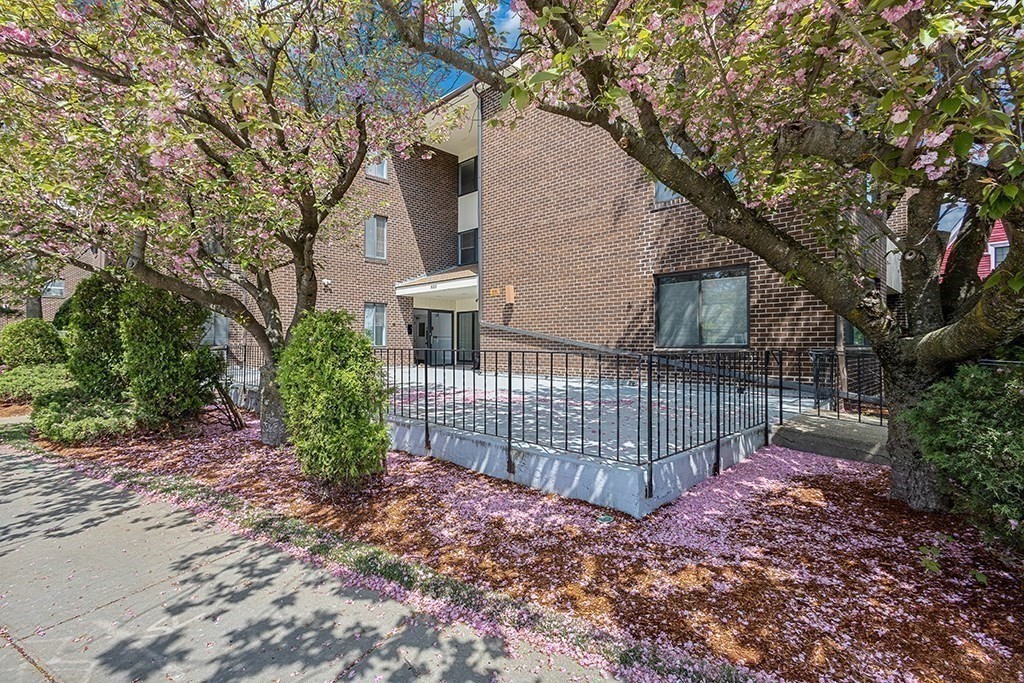 935 Washington St #1, Newton, MA, 935 Washington St #1, Newton, MA Photo #19