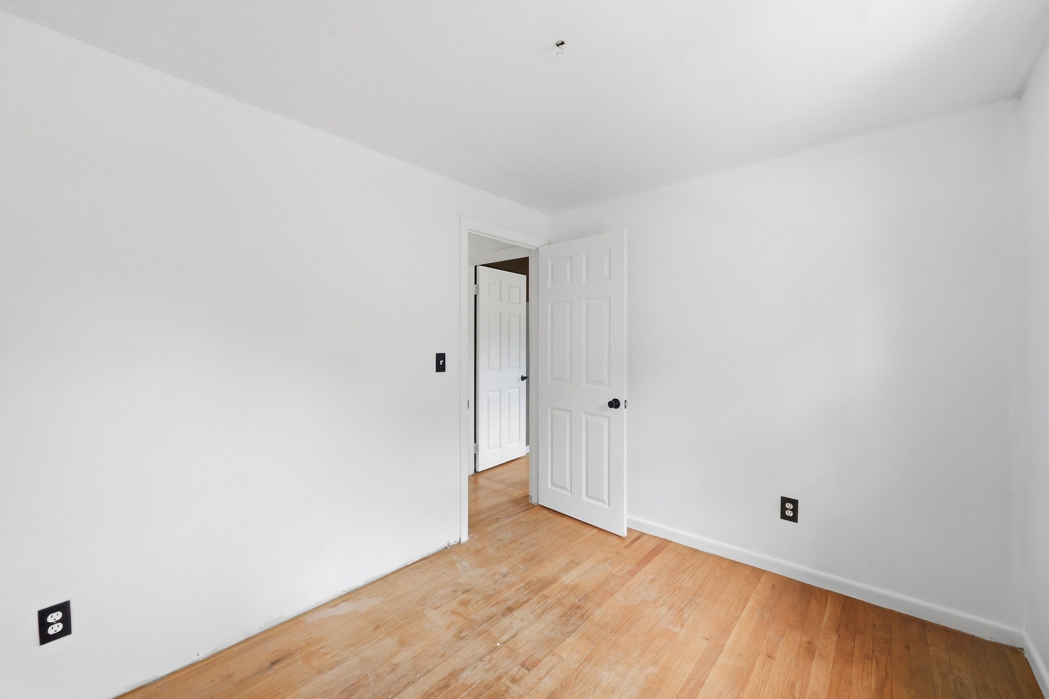 50 Finch Rd, Springfield, MA Photo #13