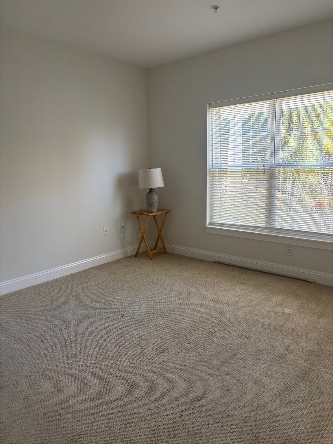 35 Commonwealthh AVE #110, Newton, MA, 35 Commonwealthh AVE #110, Newton, MA Photo #7