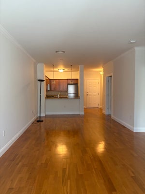 35 COMMONWEALTH AVE APT 110, CHESTNUT HILL, MA 02467 - Image bece94882fa6e1da59cfbf8ddc71832d/2650737798