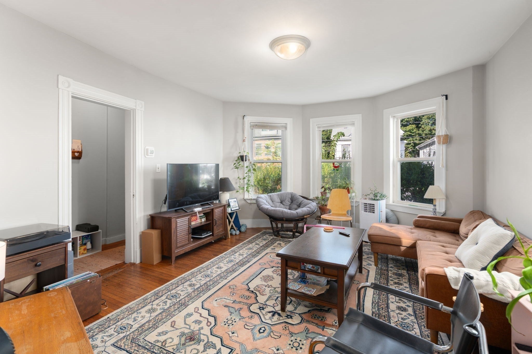 166 Albion St, Somerville, MA Photo #6