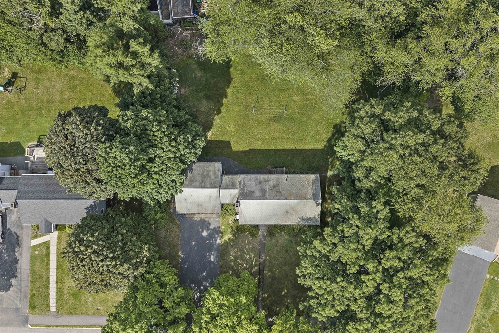 78 Blossom Rd