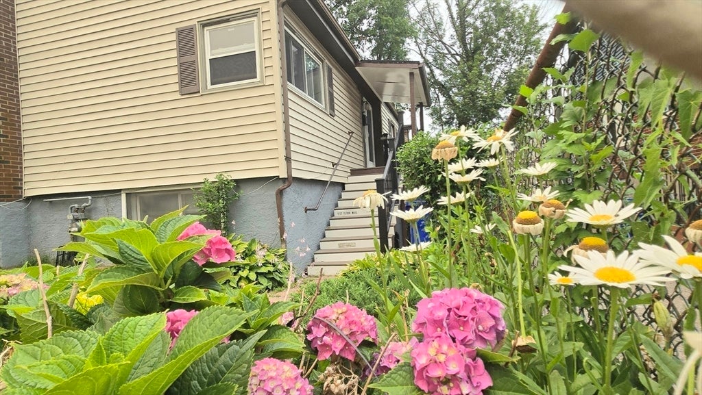 11 Stow Rd, Boston, MA Photo #17
