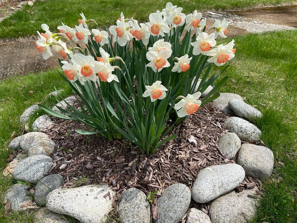 17 Highland Street #1, Rockport, MA, 17 Highland Street #1, Rockport, MA Photo #36
