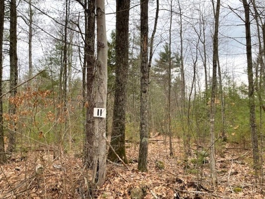 11L NEW ATHOL RD, PETERSHAM, MA 01366 - Image bf323386b3decdcd156df08093b2c032/4100350810