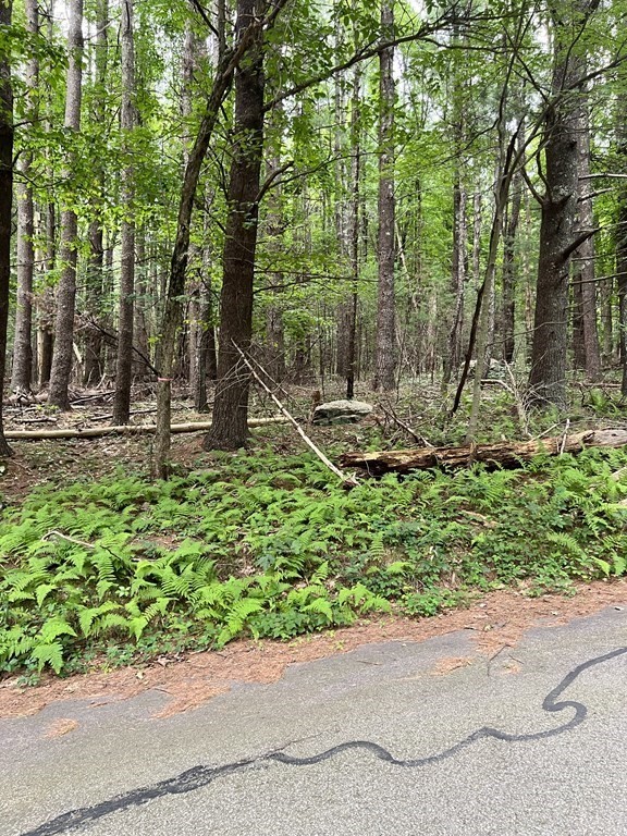 34 - Lot F South Rd