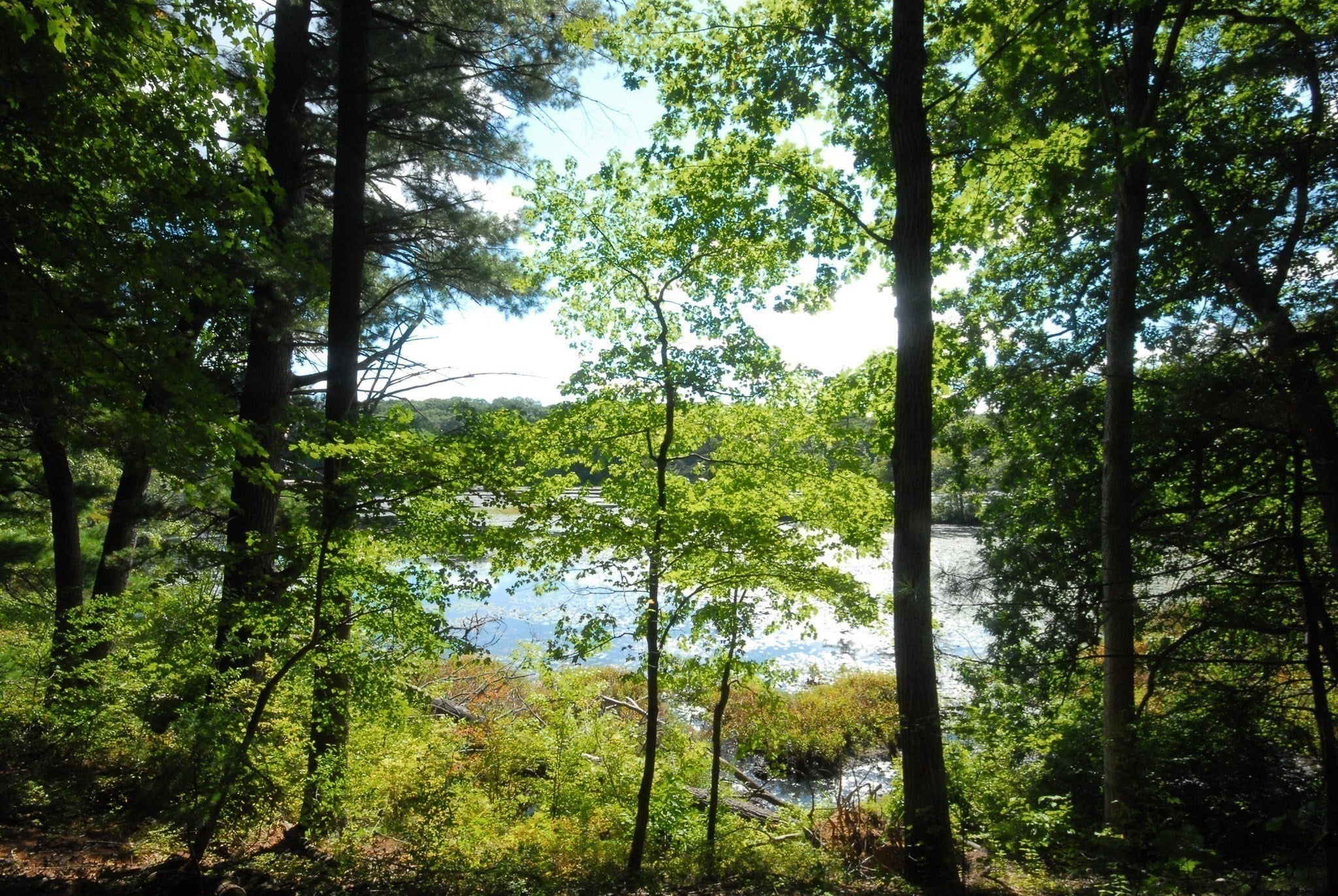 111 South Great Rd, Lincoln, MA, 111 South Great Rd, Lincoln, MA Photo #6