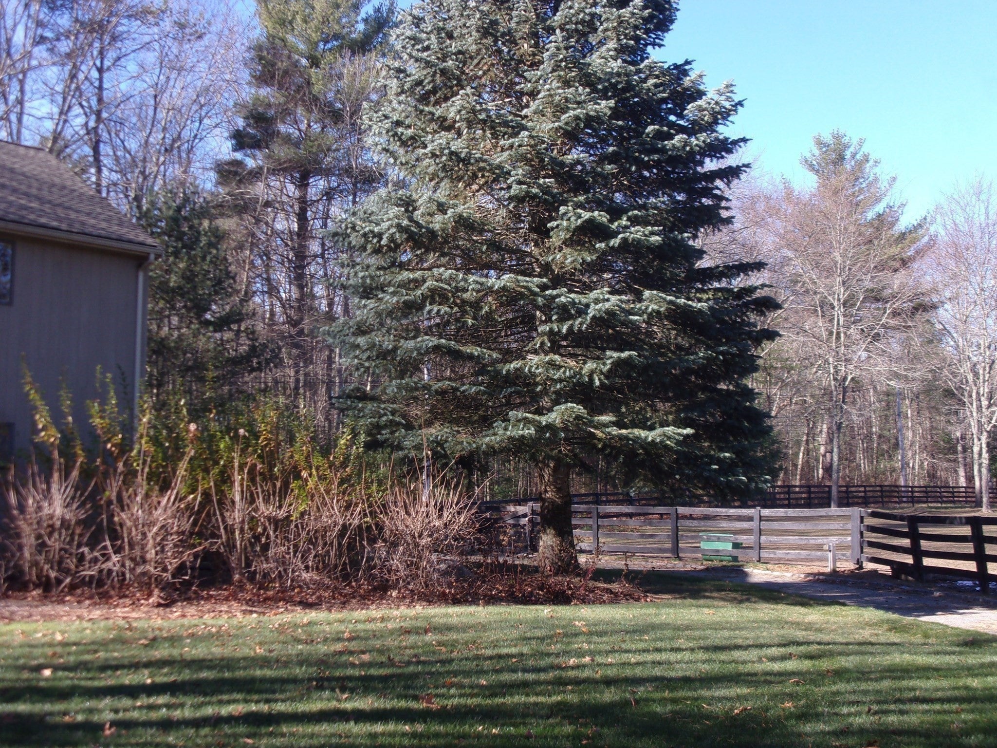 280 Chocolog RD, Uxbridge, MA Photo #3