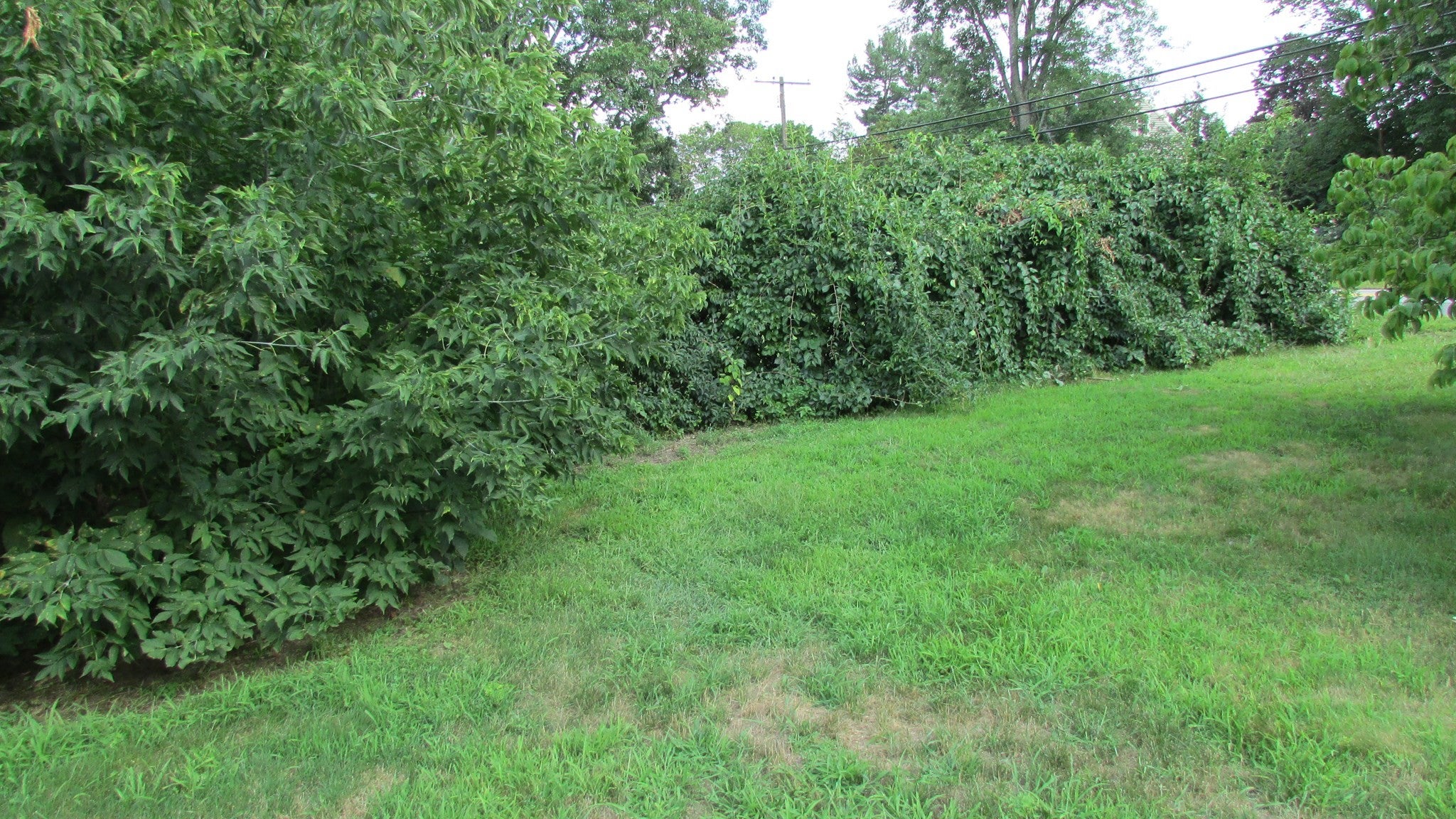 308 Salem Road, Billerica, MA Photo #2