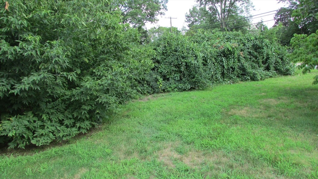 308 Salem Road, Billerica, MA Photo #2