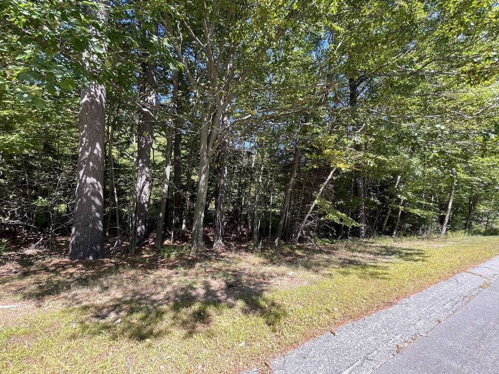 44-1 Rindge State Road