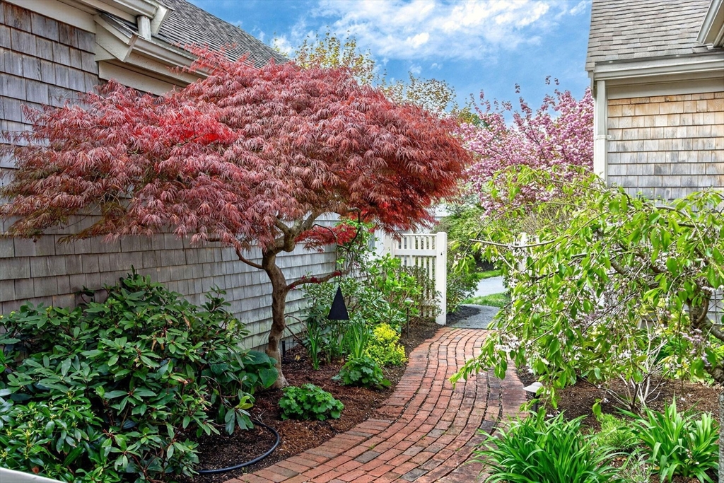 18 Boxwood Cir 18