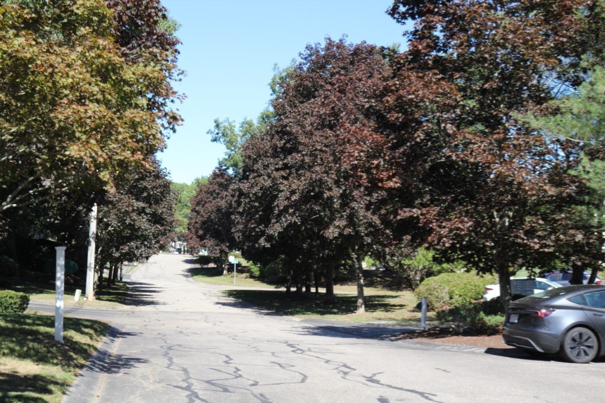 14 Nancy Rd #6, Easton, MA, 14 Nancy Rd #6, Easton, MA Photo #22