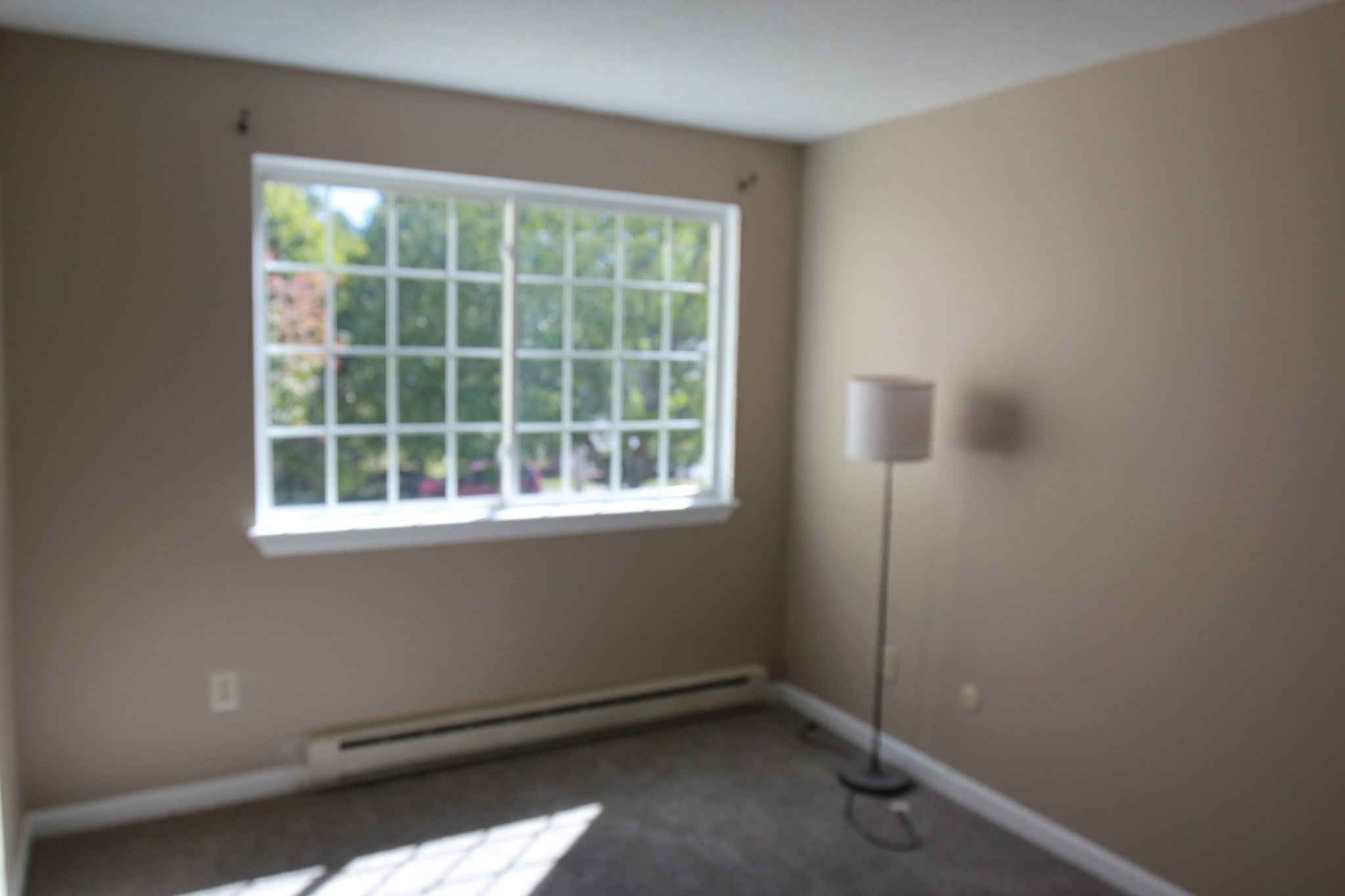 14 Nancy Rd #6, Easton, MA, 14 Nancy Rd #6, Easton, MA Photo #20