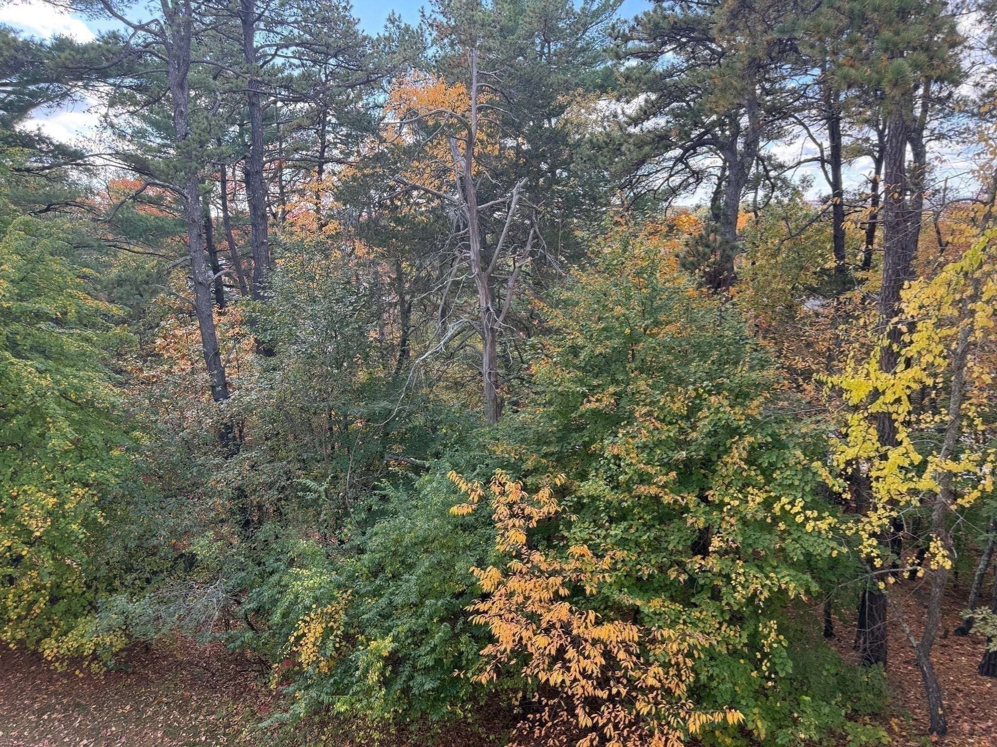 107 Clocktower Dr #207, Waltham, MA, 107 Clocktower Dr #207, Waltham, MA Photo #19