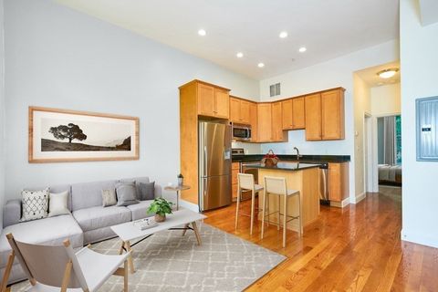 58 E Springfield Street 3 Boston MA 02118