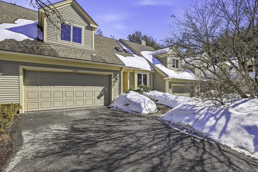 1203 Magnolia Drive 1203