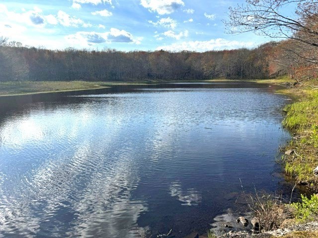 Lot 1 Gould Road