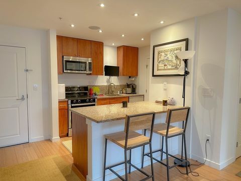 16 Miner 509 Boston MA 02215