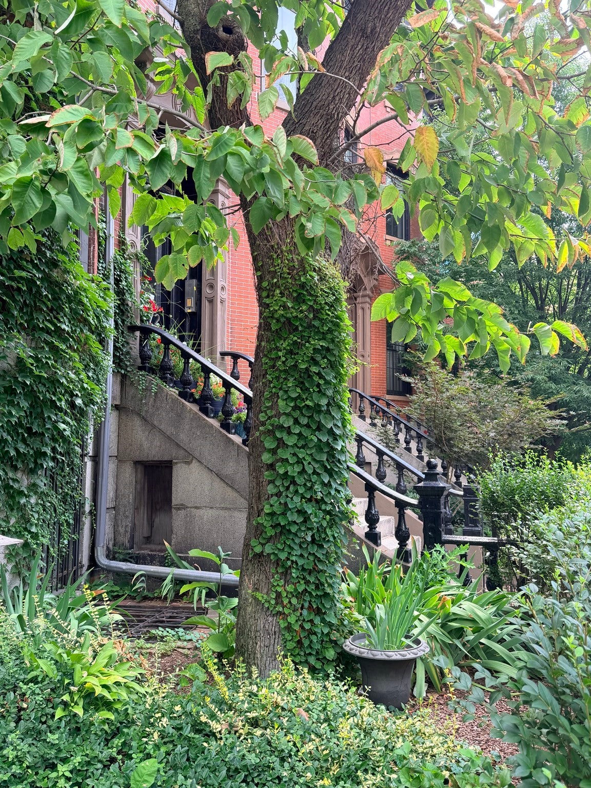470 Massachusets Ave #3, Boston, MA Photo #13