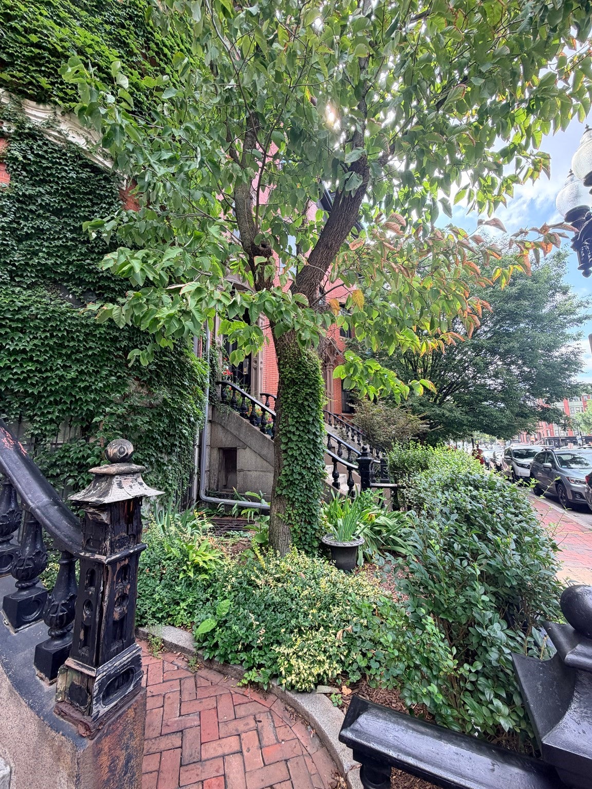 470 Massachusets Ave #3, Boston, MA Photo #12