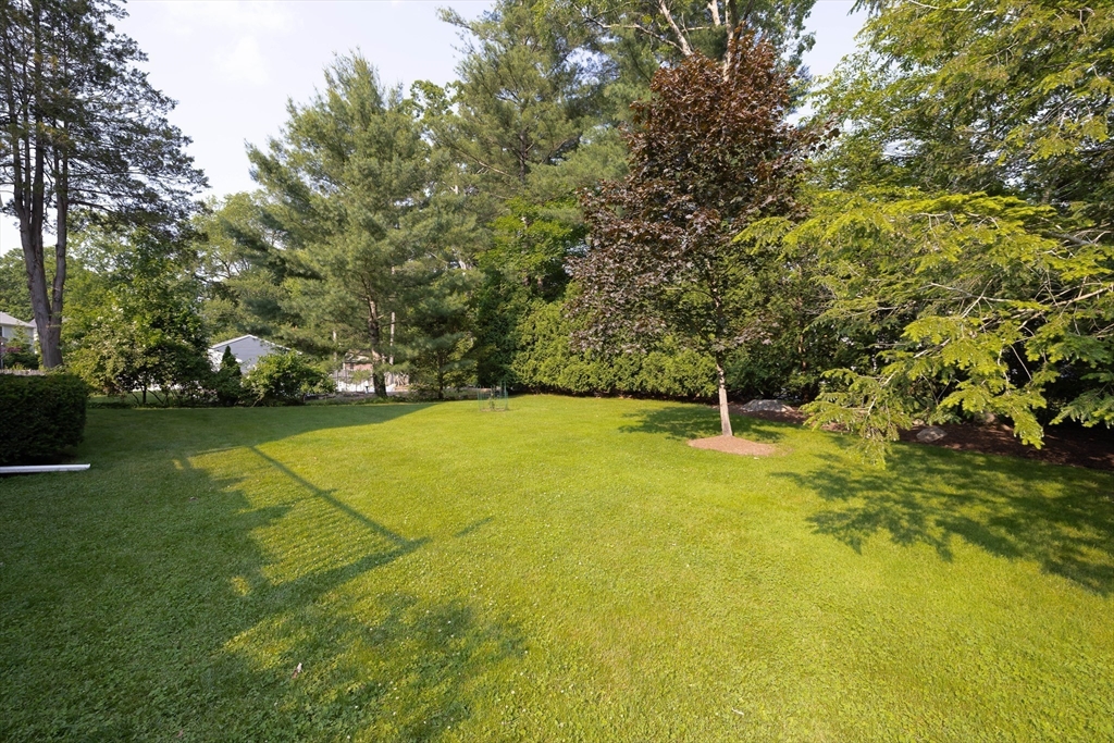 Needham, Massachusetts 02492, United States, 4 Bedrooms Bedrooms, ,4 BathroomsBathrooms,Residential,Contingent,152649