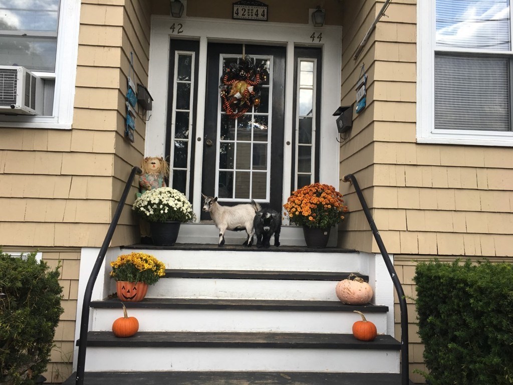 44 Sculpin Way 44