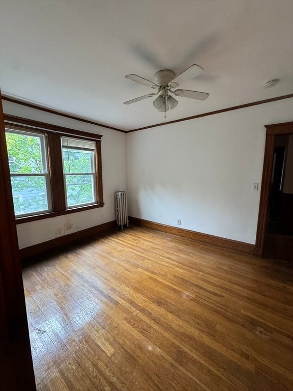 158 Jaques Street #3, Somerville, MA, 158 Jaques Street #3, Somerville, MA Photo #14