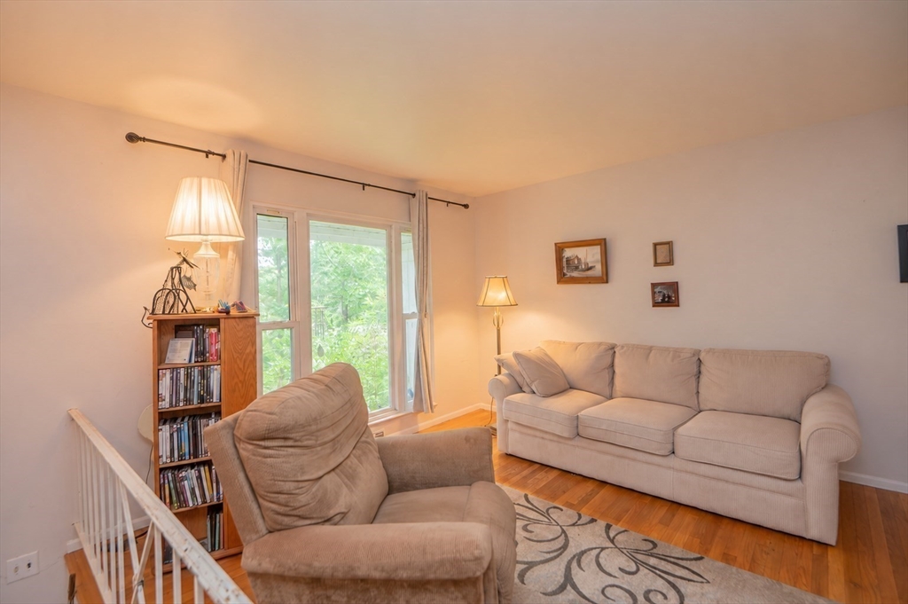 15 Molloy Rd