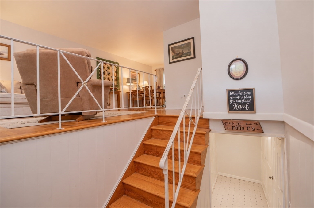 15 Molloy Rd