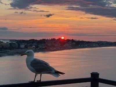 54 Oceanside Drive #54, Hull, MA, 54 Oceanside Drive #54, Hull, MA Photo #16