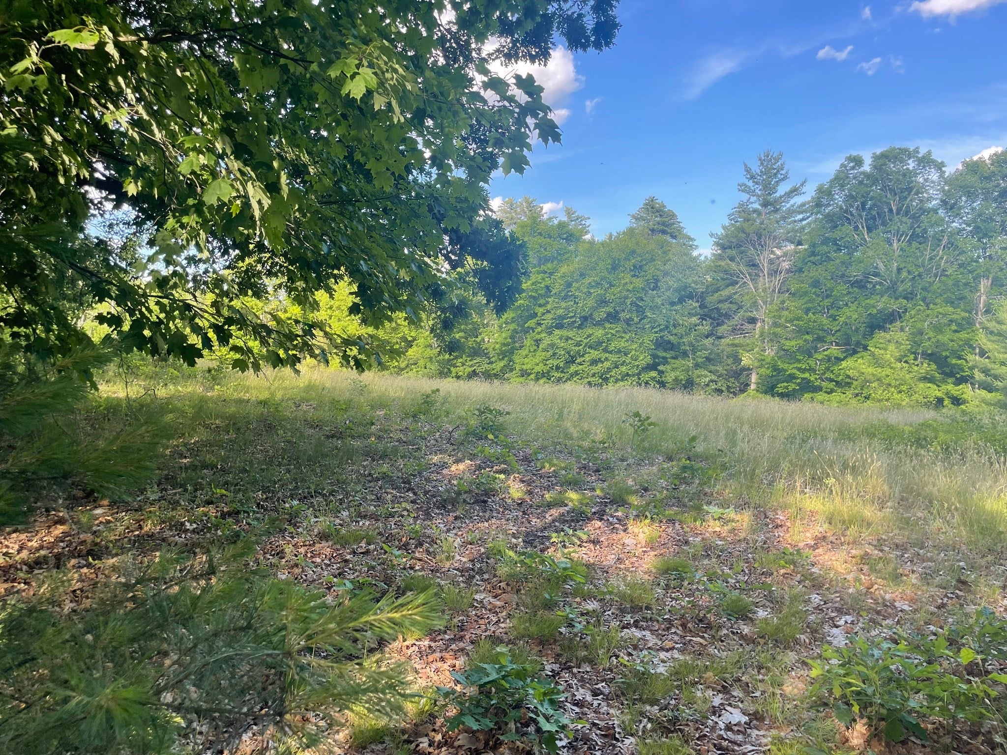 Lot 0 Mason Rd